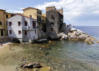 Giglio resistente virus: 723 test,1 caso