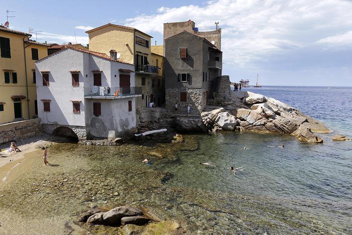 Giglio resistente virus: 723 test,1 caso