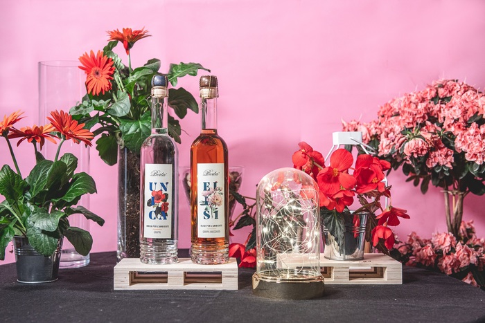 Grappe per foresta in Kenya, progetto Berta-Treedom