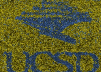 I batteri hanno memoria, come i neuroni del cervello
