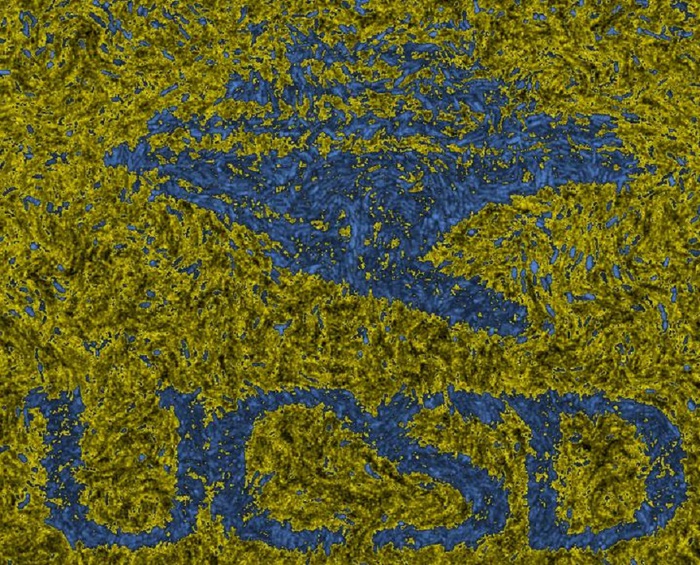 I batteri hanno memoria, come i neuroni del cervello