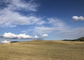 I musei delle Terre di Siena e i loro capolavori