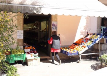 Imprese Valnerina scrivono a Conte e Tesei