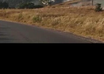 Incendi in Salento, vigili domano fiamme