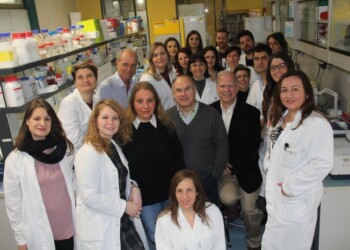 Individuato ruolo recettori sistema nervoso in schizofrenia