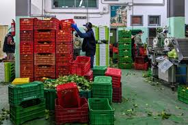 L’Italia ha bisogno di regolarizzare i migranti (e di tornare a occuparsi di chi arriva)