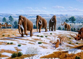 La diversità genetica degli italiani risale all’Era glaciale