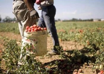 La retromarcia M5S sui migranti fa nuovamente slittare il decreto