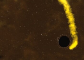 La stella simile al Sole sopravvissuta al buco nero
