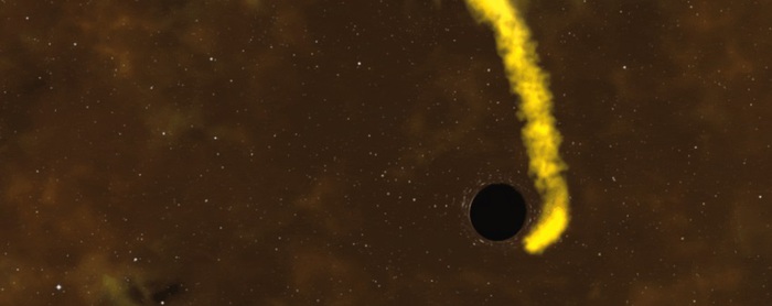 La stella simile al Sole sopravvissuta al buco nero