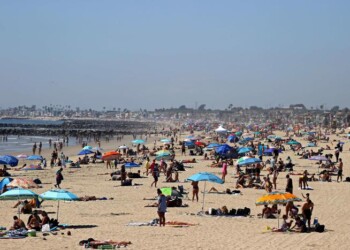 Lopalco,documento Inail-Iss sugli stabilimenti balneari, “non è un protocollo obbligatorio”