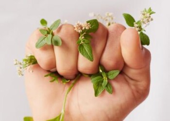 L’Oréal for the future, un programma da 150 mln per il sociale e l’ambiente 