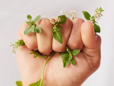 L’Oréal for the future, un programma da 150 mln per il sociale e l'ambiente