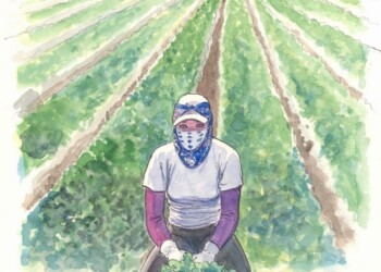 Manara: “Avevo un solo modo per vincere la tristezza da virus. I miei disegni per gli eroi della pandemia”