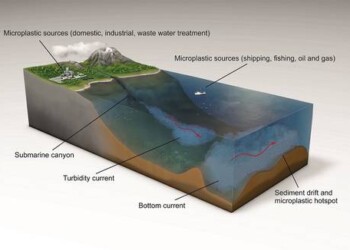 Nel Mar Tirreno è record di microplastiche sul fondale