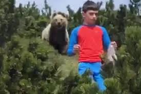 L’orso esce dai cespugli ma bimbo non perde calma, è salvo