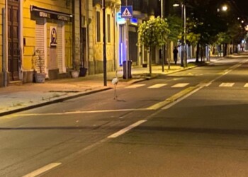 Passeggiata notturna di un fenicottero in centro a Cagliari