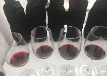 Puglia, no al vino Primitivo di Sicilia