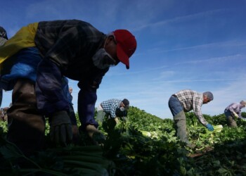 Regolarizzazione dei braccianti, raggiunta l’intesa nella notte