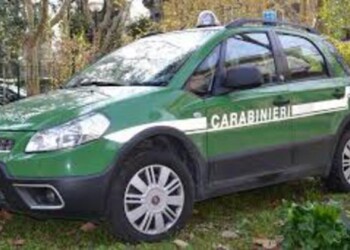 Sequestrato manufatto abusivo in cemento