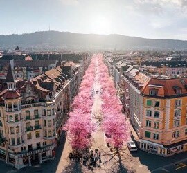 Sognando Zurigo, in attesa di poterla riabbracciare presto