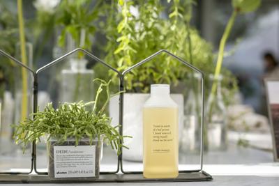 Davines devolve 1% vendite e-commerce alla biodiversità