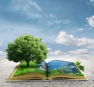 Sostenibilità: per 46% consumatori soluzioni Ict fondamentali per sfide ambientali  