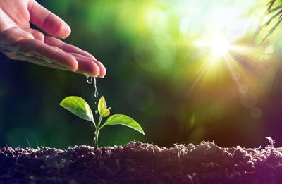 Ok della Commissione Ue a Strategie biodiversità e 'Farm to Fork' Ok della Commissione Ue a Strategie biodiversità e 'Farm to Fork'