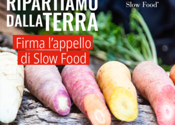 Ripartiamo dalla terra: il Decreto Rilancio dedica attenzione all’agricoltura, ma non è ancora abbastanza