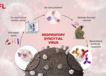 Vaccini di precisione con proteine assemblate come Lego