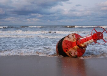 Zingaretti e la raffinata strategia del Pd di far passare la nottata