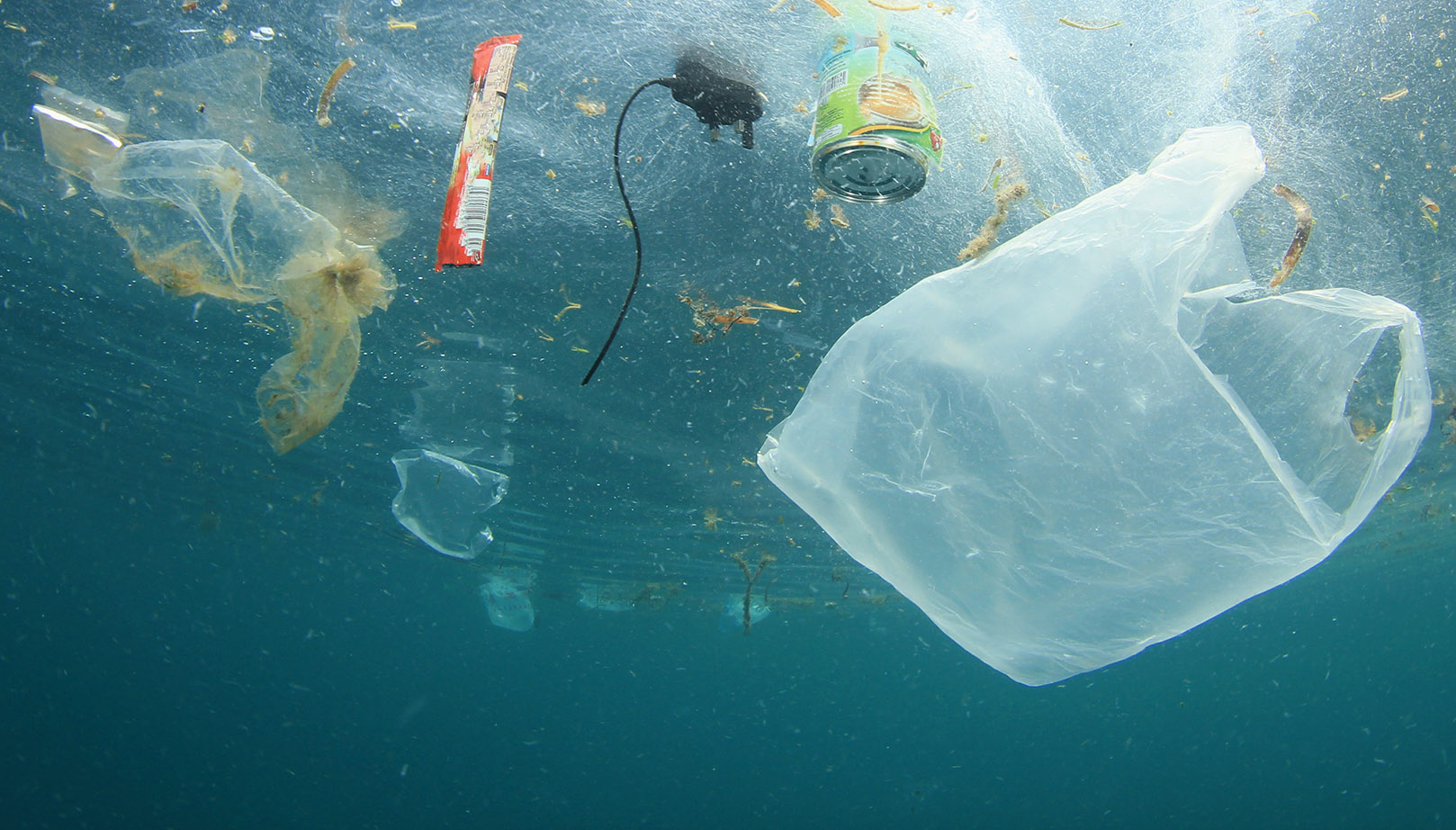 TONNELLATE DI PLASTICA ABBANDONATE NEL MAR TIRRENO, GREENPEACE ITALIA PRESENTA ESPOSTO ALLA CORTE DEI CONTI CONTRO LA REGIONE TOSCANA