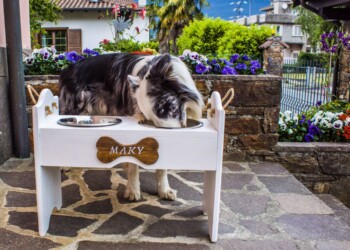 Un’azienda familiare che nasce dalla passione per il legno e dall’amore per il proprio amico a quattro zampe