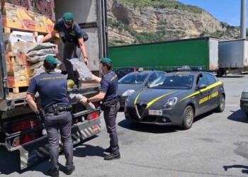 97 kg droga su un Tir in Liguria