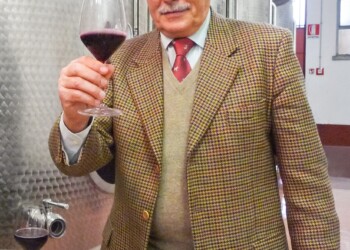 Doc Friuli: il Consorzio chiede lo stoccaggio per il Pinot grigio