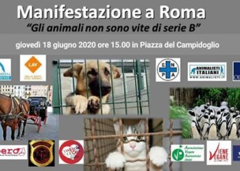 IN CAMPIDOGLIO LA VOCE DEGLI ANIMALI CONTRO LE MANCANZE DELL’AMMINISTRAZIONE