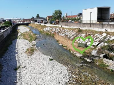 Biodiversità, nuova sperimentazione naturalistica in Versilia