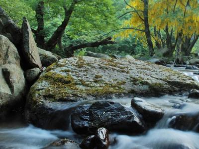 Val Grande, dal 27 giugno al 19 settembre '50 sfumature di Parco'