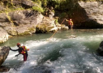 Animali: vigili fuoco recuperano caprioli bloccati torrente