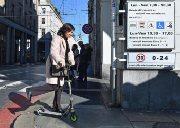 Appendino, su certi temi Pd vicino a posizioni di destra