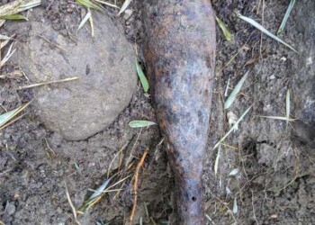 Bomba da mortaio riaffiora durante rimozione sepe S.Severino