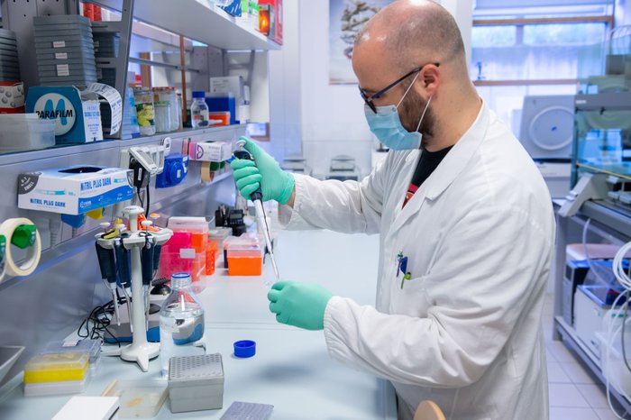 Coronavirus: nessun nuovo caso registrato in Trentino