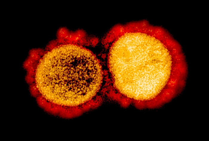 Coronavirus, nessun passaporto immunitario per gli asintomatici