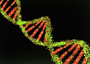 Coronavirus, trovati i geni che aumentano il rischio