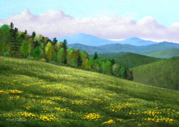 CLIMA, NUOVO REPORT DI GREENPEACE: «UN’ITALIA A EMISSIONI ZERO È POSSIBILE E PORTEREBBE VANTAGGI ECONOMICI, OCCUPAZIONALI E AMBIENTALI»