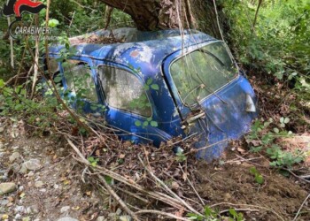 Dieci carcasse di auto trovate nel Parco del Pollino