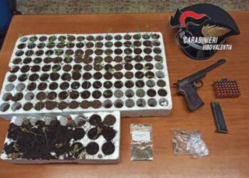 Droga e pistola in casa, arrestato
