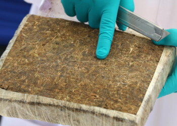 Droga: Molise, numeri allarmanti e fenomeno non percepito