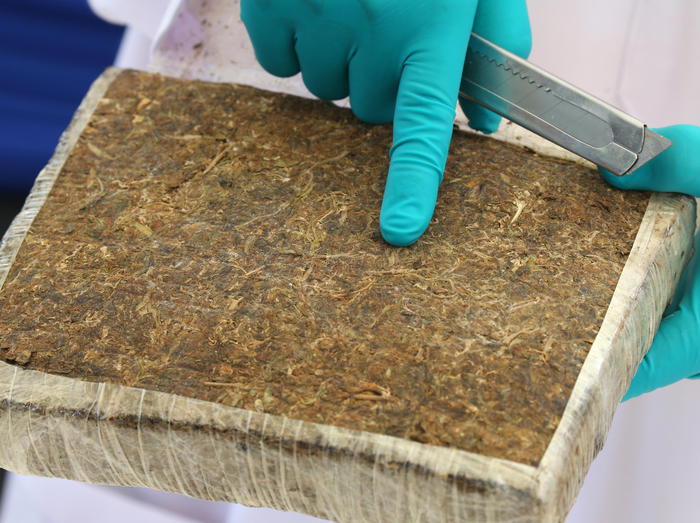 Droga: Molise, numeri allarmanti e fenomeno non percepito