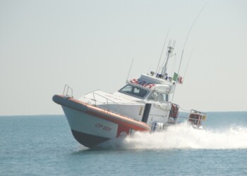 Guardia Costiera sequestra e rigetta in mare duemila ricci vivi